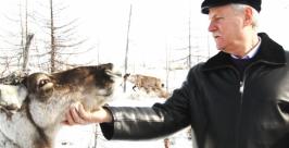 Хабаровский единоросс Сергей Хохлов вступился за оленей пресс-служба ЗДХК
